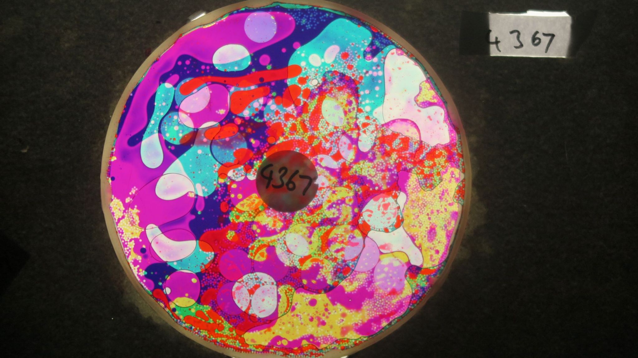 BV4367 bubble vision oil wheel